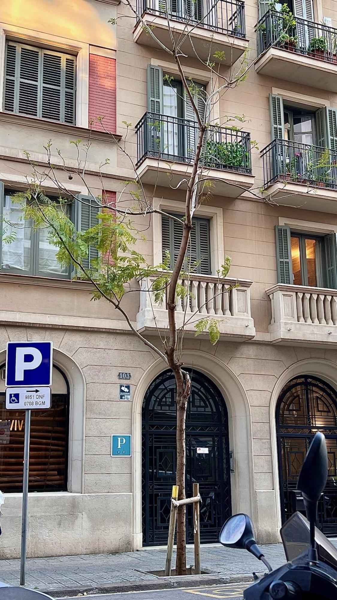 Hostal Madrazo Barcelona Zewnętrze zdjęcie